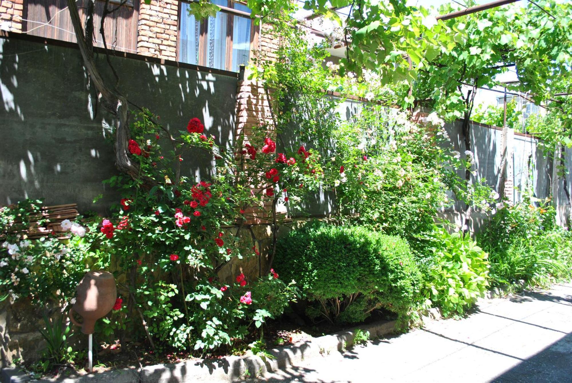 Tamar Guest House ゴリ 部屋 写真